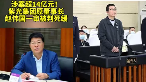 紫光集团