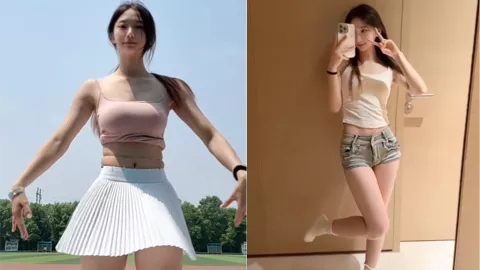 六六酱
