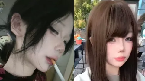 电子水母