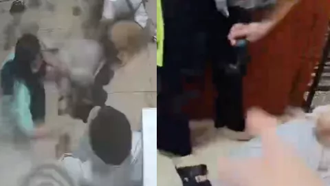 阿拉斯加