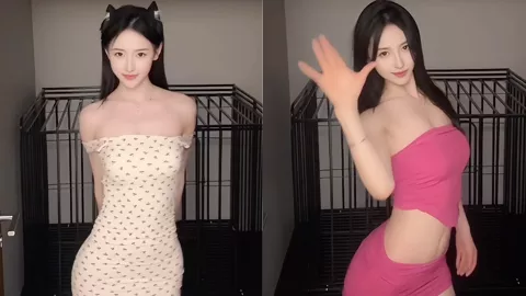 陈莫沫