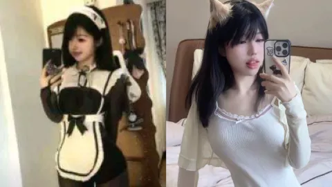 脆脆鲨