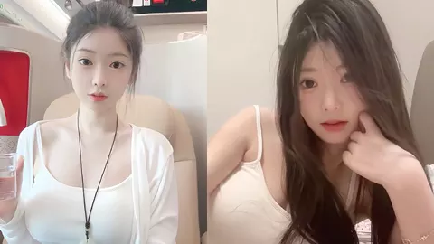 小香菜的岛