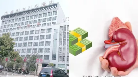 杨素勋