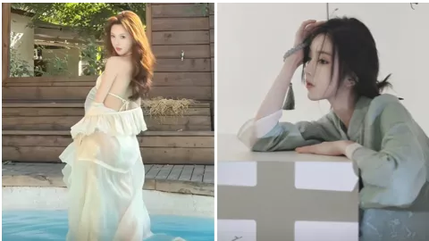 李笨笨