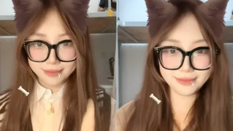薯条小猫