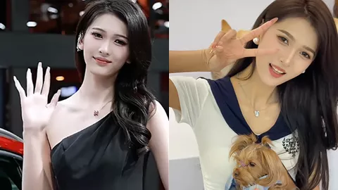蔡悦