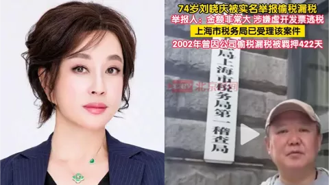 偷税漏税