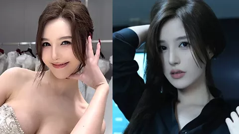 我才是岚岚