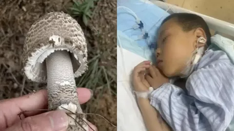 湖南永州