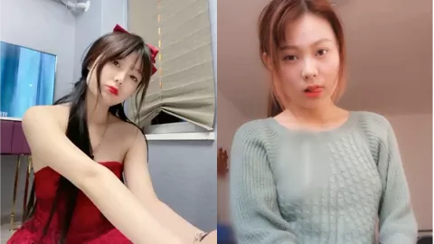 狐狸小妖