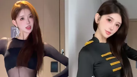 萝卜兔