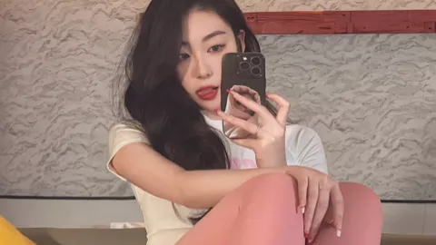 候鸟