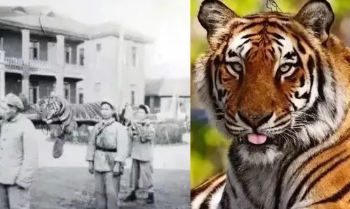 湖南