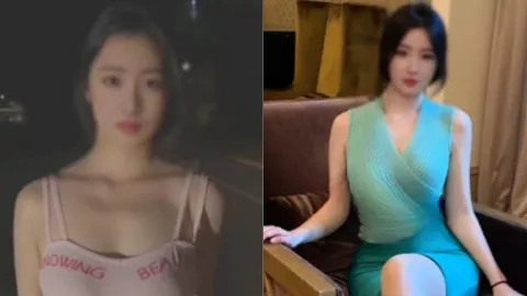 兔兔酱
