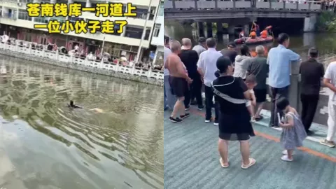 苍南钱库