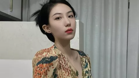 青海松