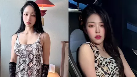 推特博主