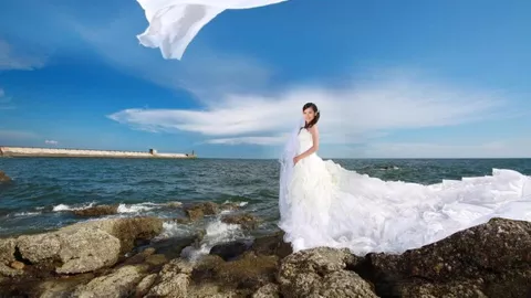 石家庄