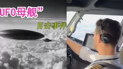 拉布拉多
