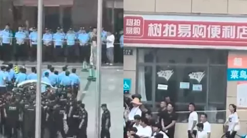 树拍易购