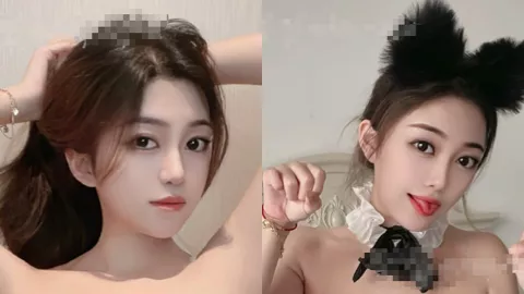 推特网红