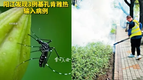 基孔肯雅热