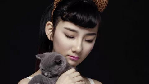 美国中央司令部