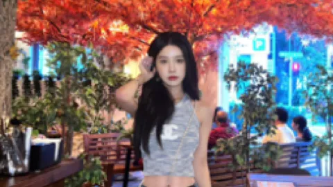 夏宝龙