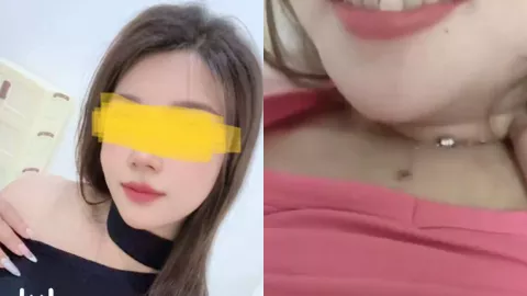 高颜值