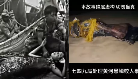 鲛人传说