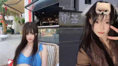 陈婉清