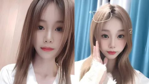 李启丹
