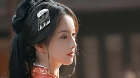 花开如梦