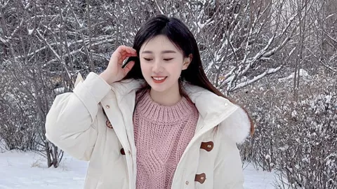 胡杨林