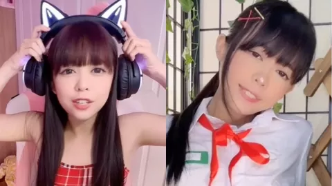 绯红小猫