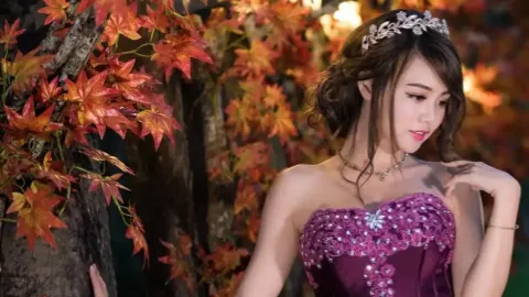 台胞