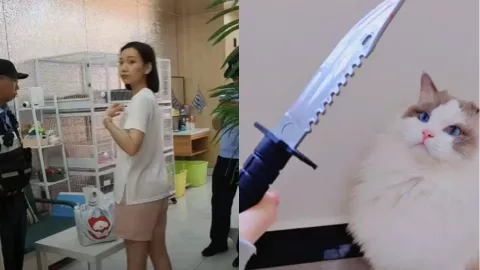 沈阳