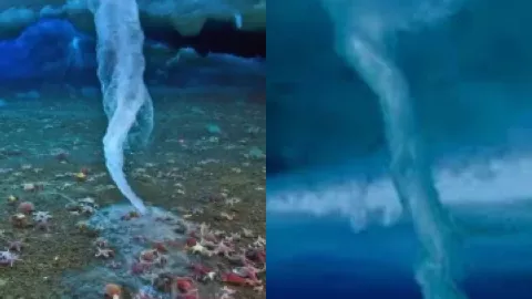 死亡冰柱