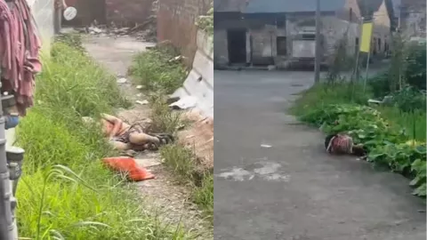 耒阳