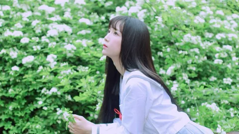 打拐行动