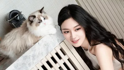 义乌圣诞用品
