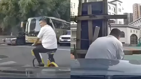 东北路怒