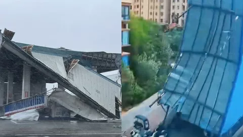 台风杨柳