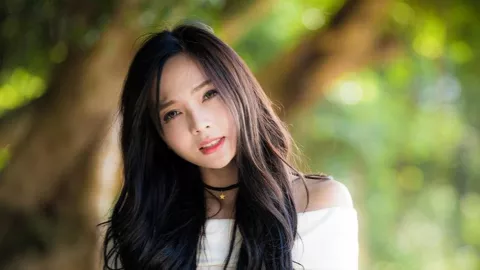 藏马熊