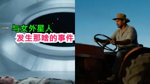 巴西农夫