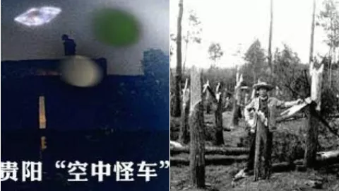 贵州都溪林场