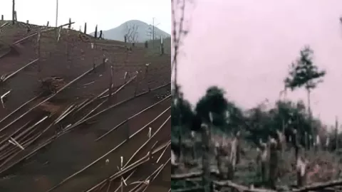 贵阳市