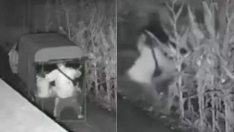 汤圆妈妈