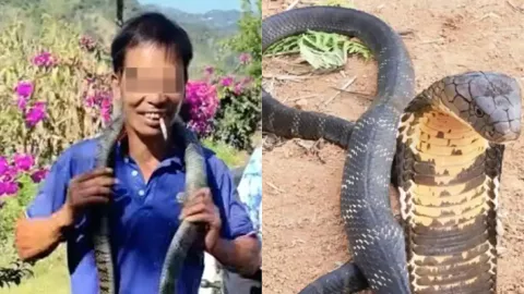 致命误判